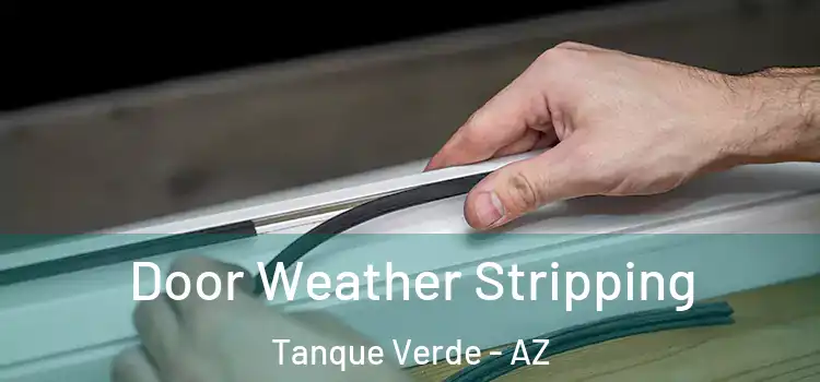  Door Weather Stripping Tanque Verde - AZ
