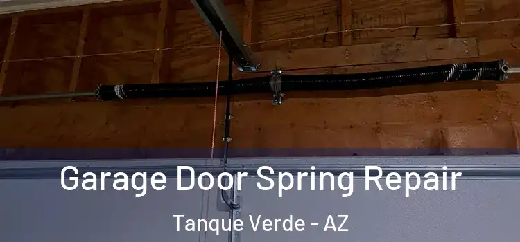  Garage Door Spring Repair Tanque Verde - AZ