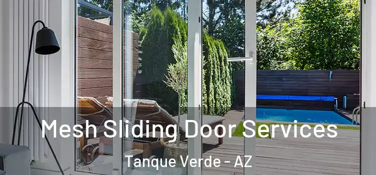 Mesh Sliding Door Services Tanque Verde - AZ